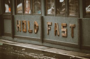 Comparing the Fastest E