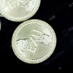 How Digital Currency Exchanges