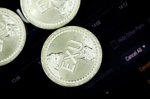 How Digital Currency Exchanges