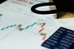 Understanding Earnings Reports: A